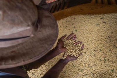 Goiás registra superávit de US$ 5,6 bilhões na balança comercial entre janeiro e agosto de 2026