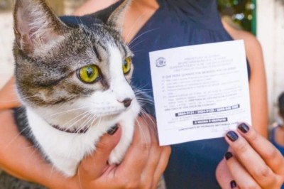 Campanha de Vacinação Antirrábica 2026 imuniza 74 mil cães e gatos contra raiva em Goiânia