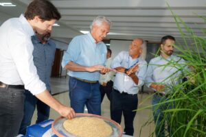 Na Embrapa Arroz e Feijão, Caiado conhece novo cultivo de arroz que pode alavancar a produção do grão em Goiás